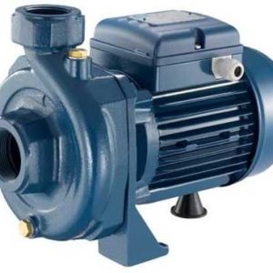 Máy bơm chìm nước thải Pentax DX100 G 2" - 220V